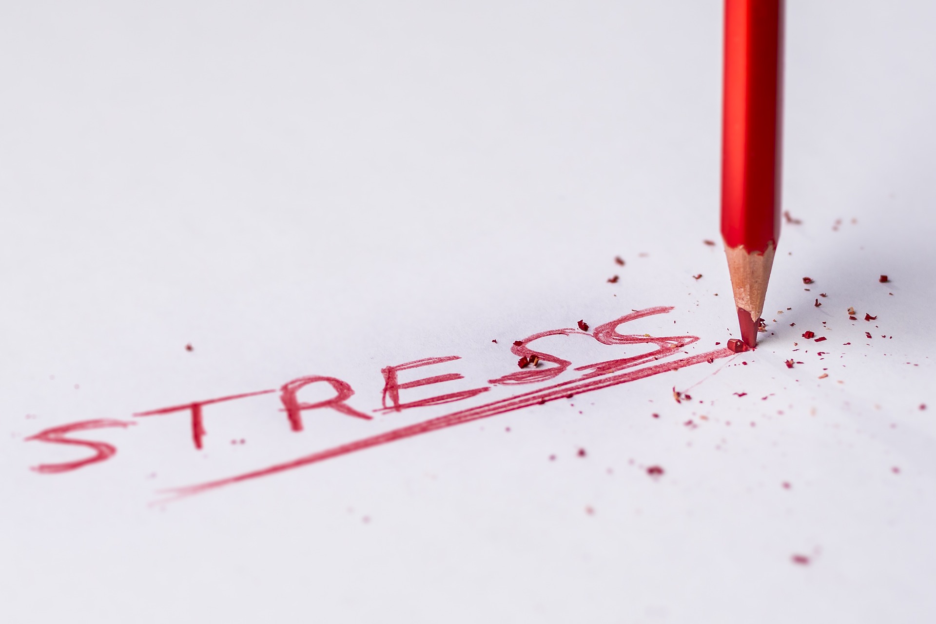 Gestion du stress