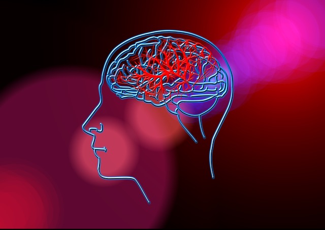 Mental illness : a silent yet pervasive part of our society